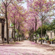 Cimetière du Montparnasse